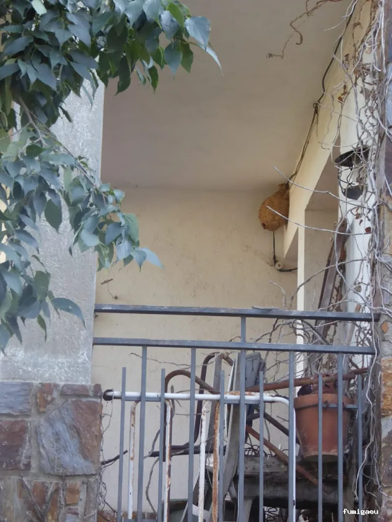 Tratamientos TURA - Control de Plagas en Cataluña