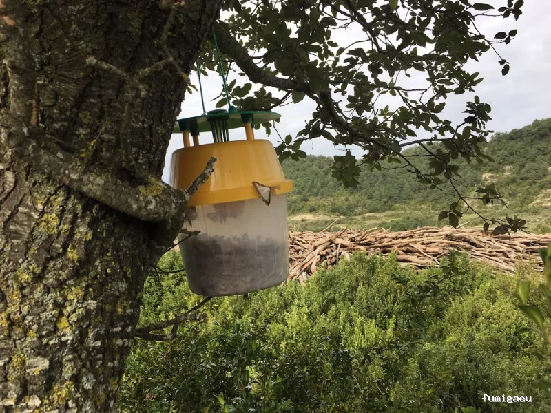 Senplag - Control sostenible de plagues i gestió del verd