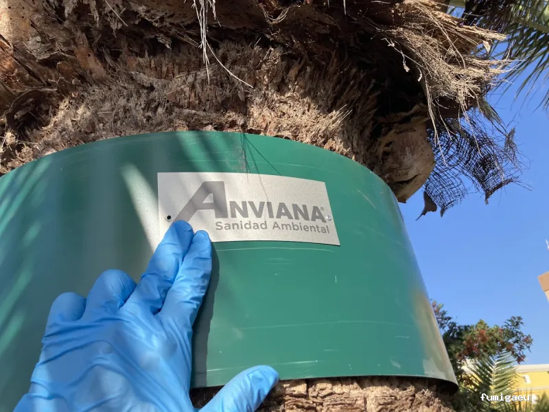 Anviana Sanidad Ambiental