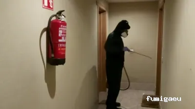 CODAPLAGA SALUD AMBIENTAL