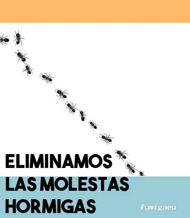 CODAPLAGA SALUD AMBIENTAL