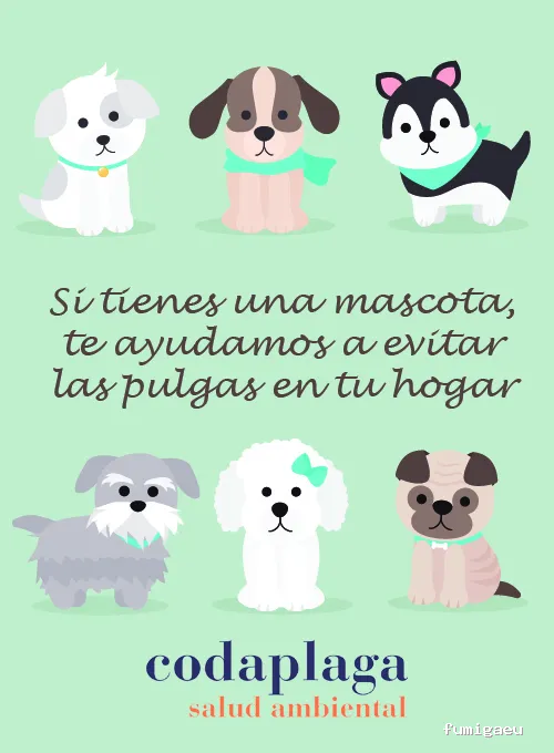 CODAPLAGA SALUD AMBIENTAL