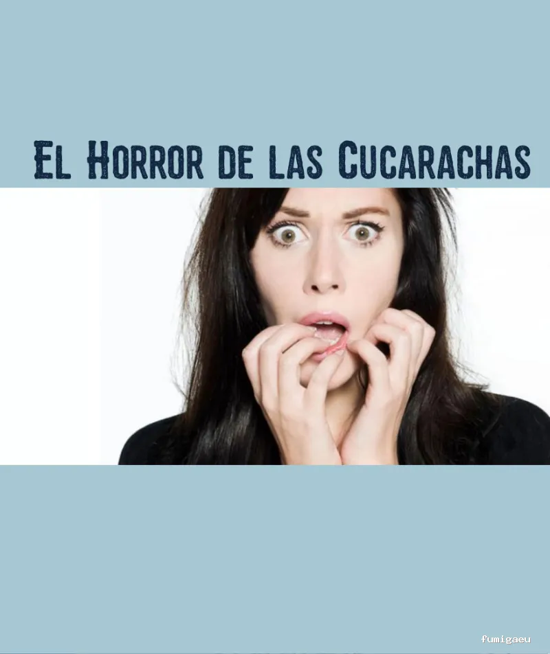 CODAPLAGA SALUD AMBIENTAL