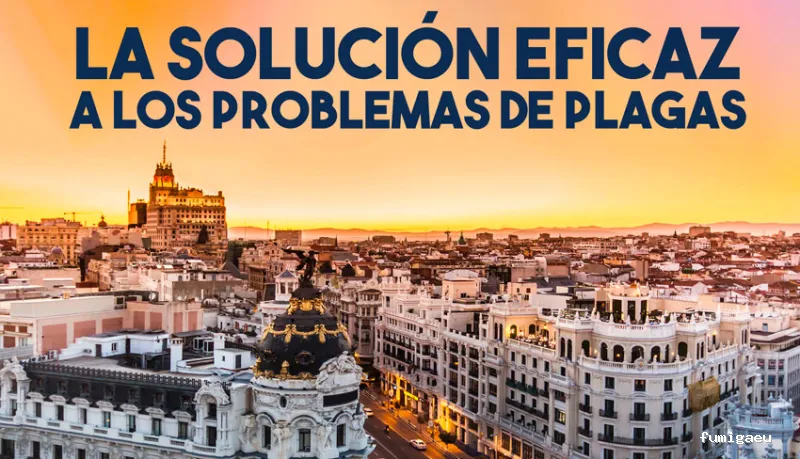 CODAPLAGA SALUD AMBIENTAL