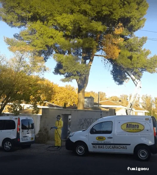 Desinfecciones Alfaro