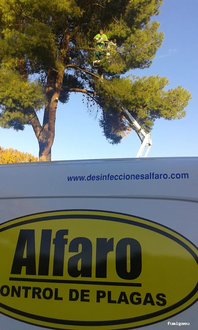 Desinfecciones Alfaro