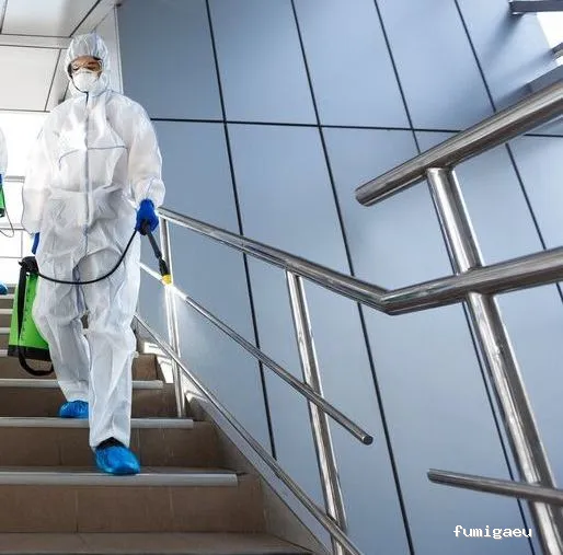 Desinfecciones Alfaro