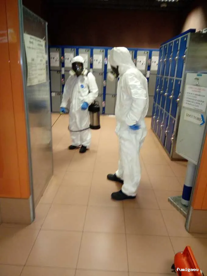 Desinfecciones Alfaro