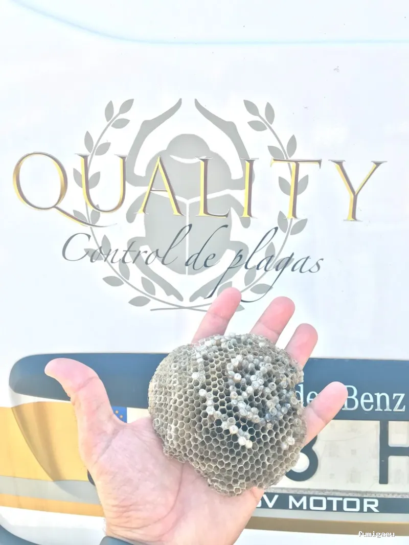 Quality Control de Plagas