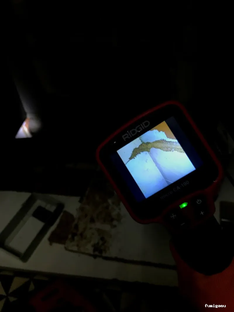 Quality Control de Plagas