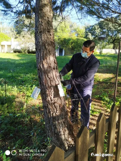 Integral De Plagas, S.L.