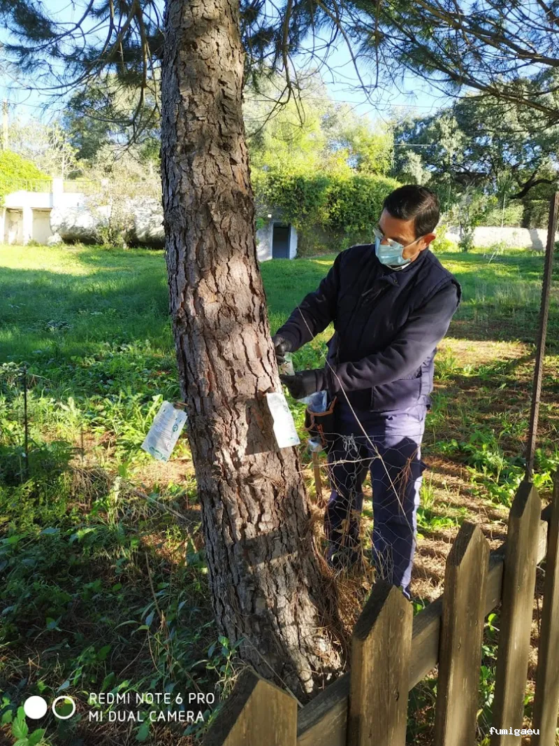 Integral De Plagas, S.L.