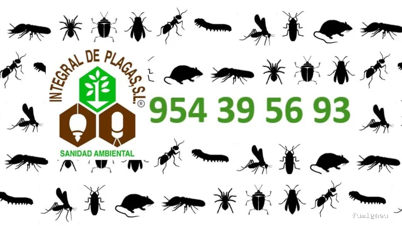 Integral De Plagas, S.L.