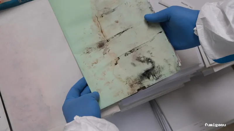 Gestior Quimics | Control de Plagues