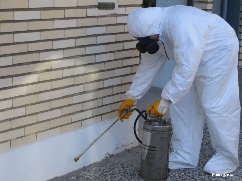 Desinfecciones Daymax