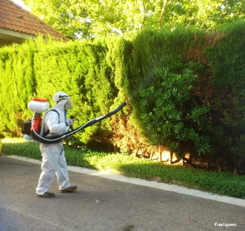 Desinfecciones Daymax