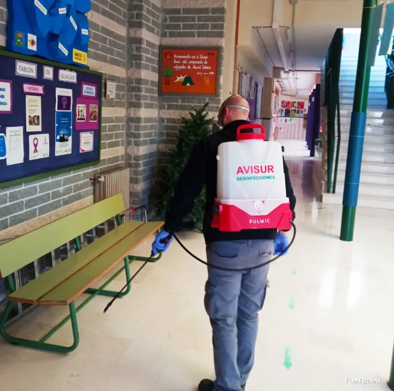 Avisur Desinfecciones y Plagas