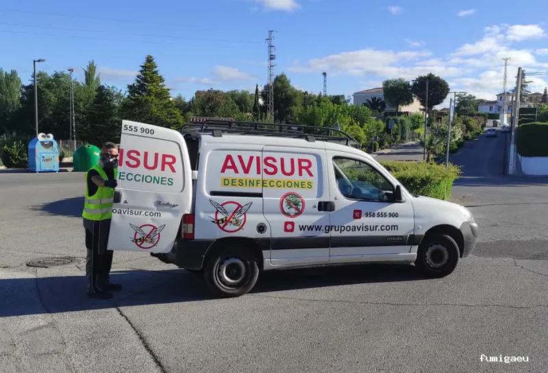 Avisur Desinfecciones y Plagas
