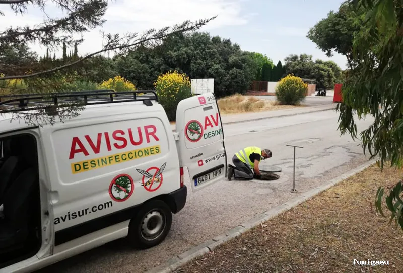 Avisur Desinfecciones y Plagas