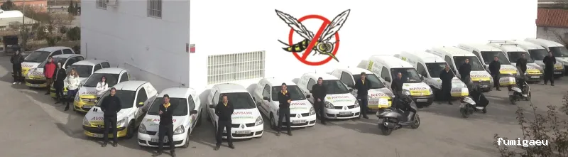 Avisur Desinfecciones y Plagas