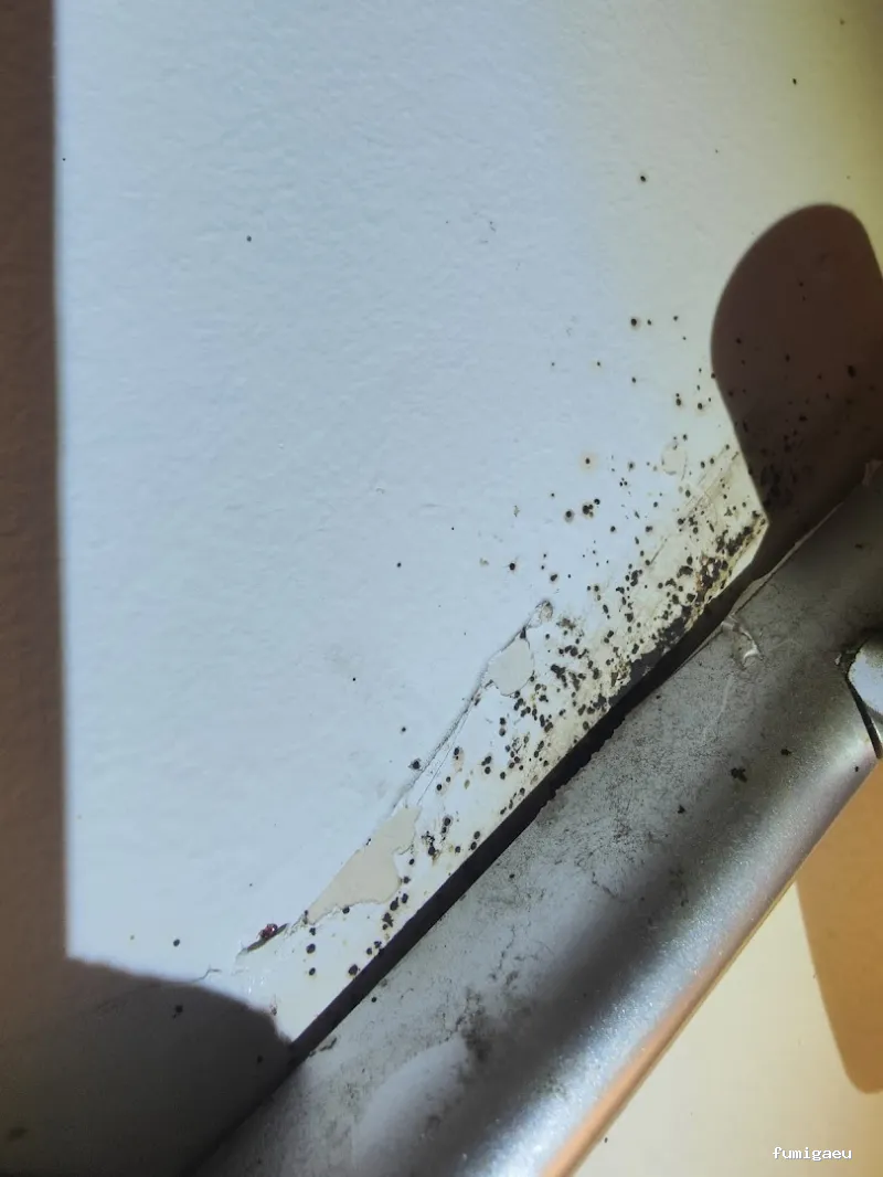 Biogalicia Sono Sanidad Ambiental