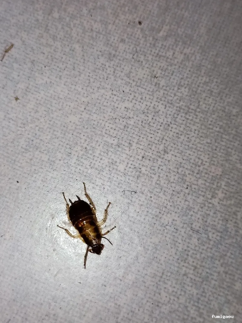 Biogalicia Sono Sanidad Ambiental