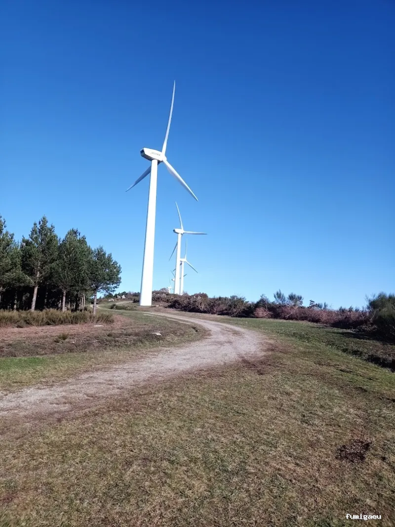 Biogalicia Sono Sanidad Ambiental
