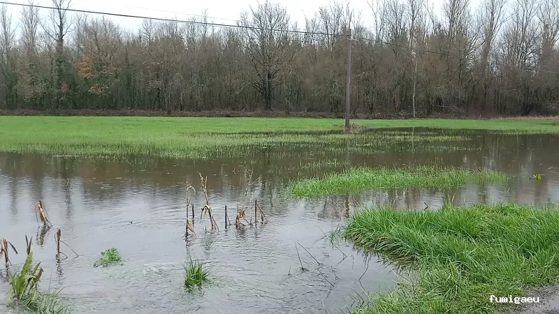 Biogalicia Sono Sanidad Ambiental