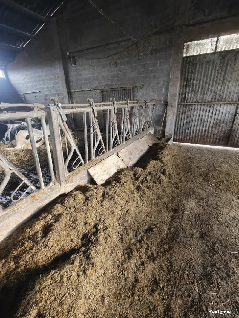 Biogalicia Sono Sanidad Ambiental