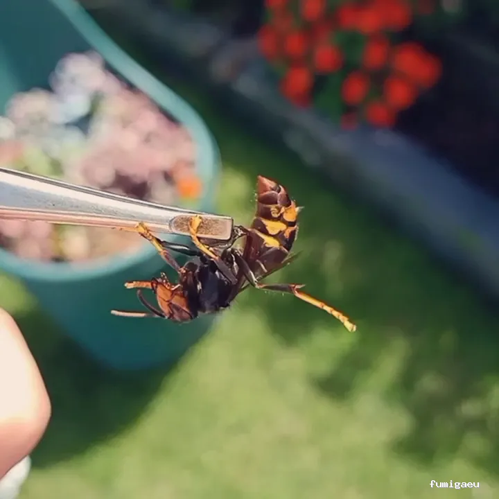 Biogalicia Sono Sanidad Ambiental