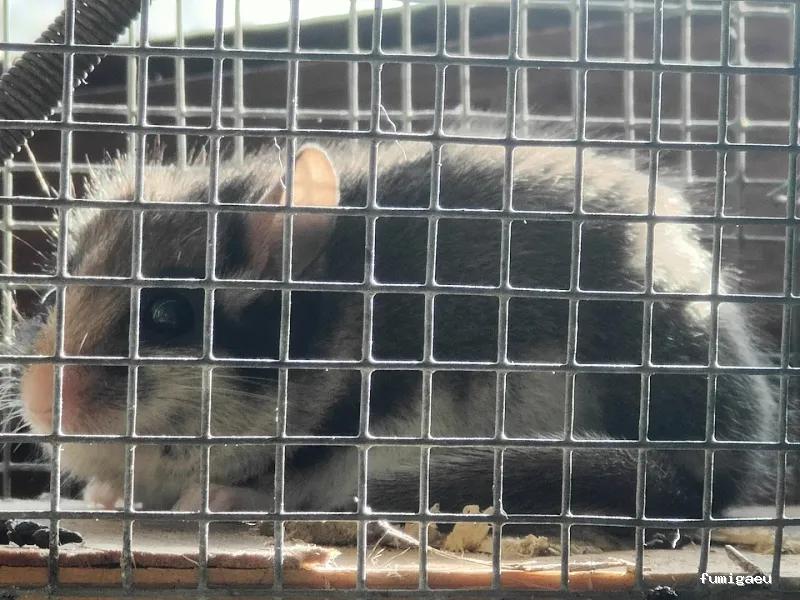 Biogalicia Sono Sanidad Ambiental