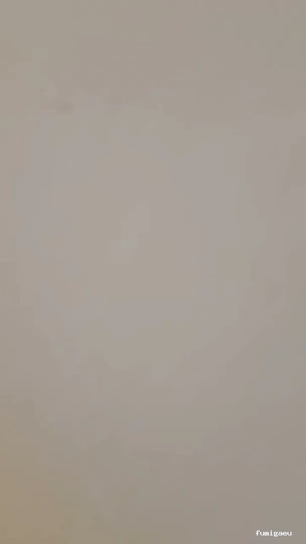 Biogalicia Sono Sanidad Ambiental