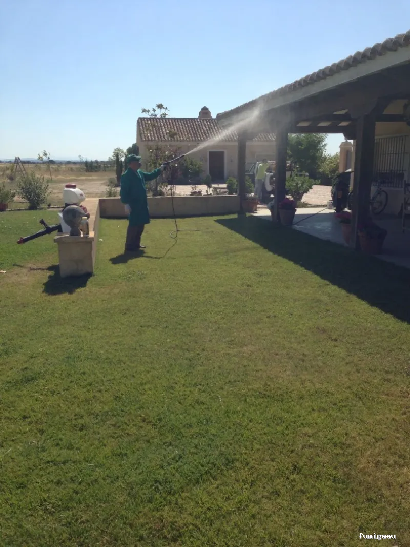 Sanides Control de Plagas