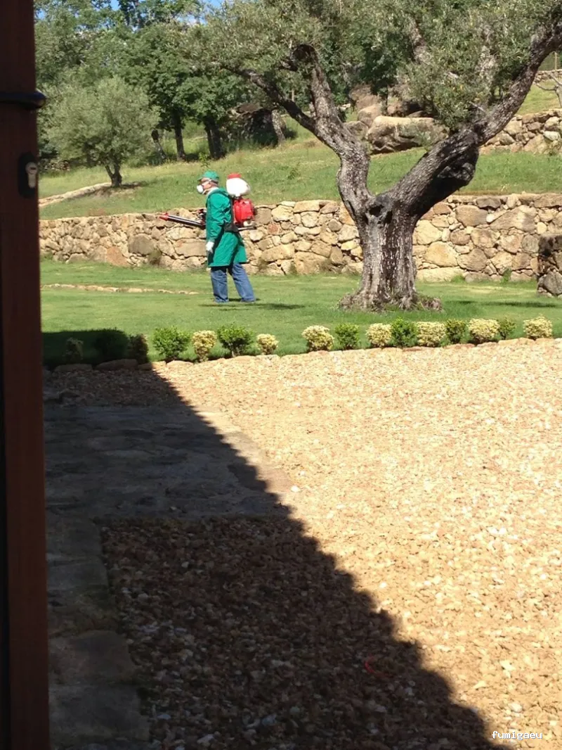 Sanides Control de Plagas