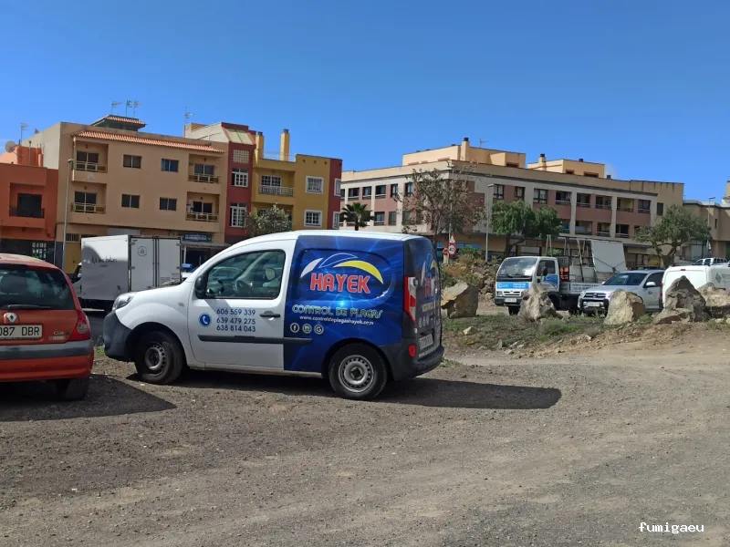 Hayek Empresa de Control de Plagas