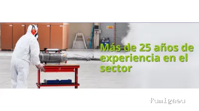 Tratamientos de Higiene Alba