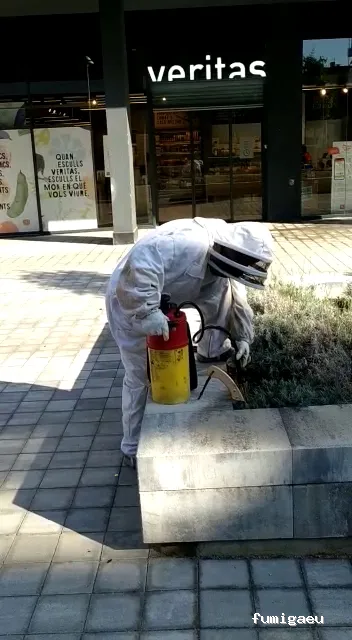 Serviset Plagas, S.L.