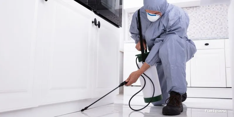 Serviset Plagas, S.L.