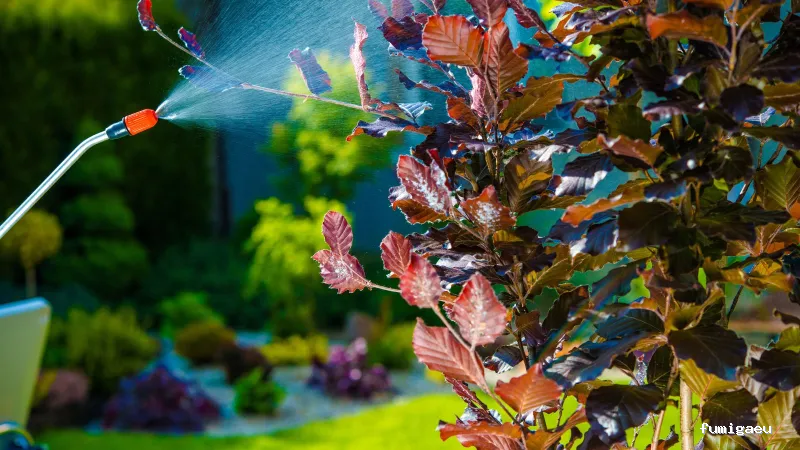 Serviset Plagas, S.L.