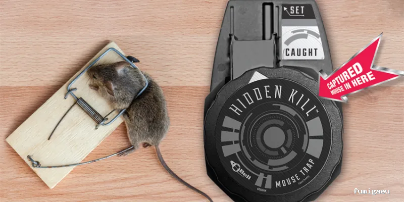 Serviset Plagas, S.L.