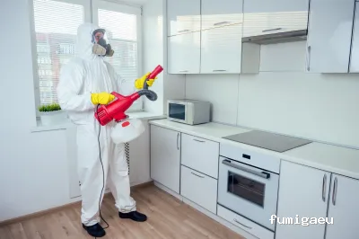 Control De Plagas Valencia | Fumivale