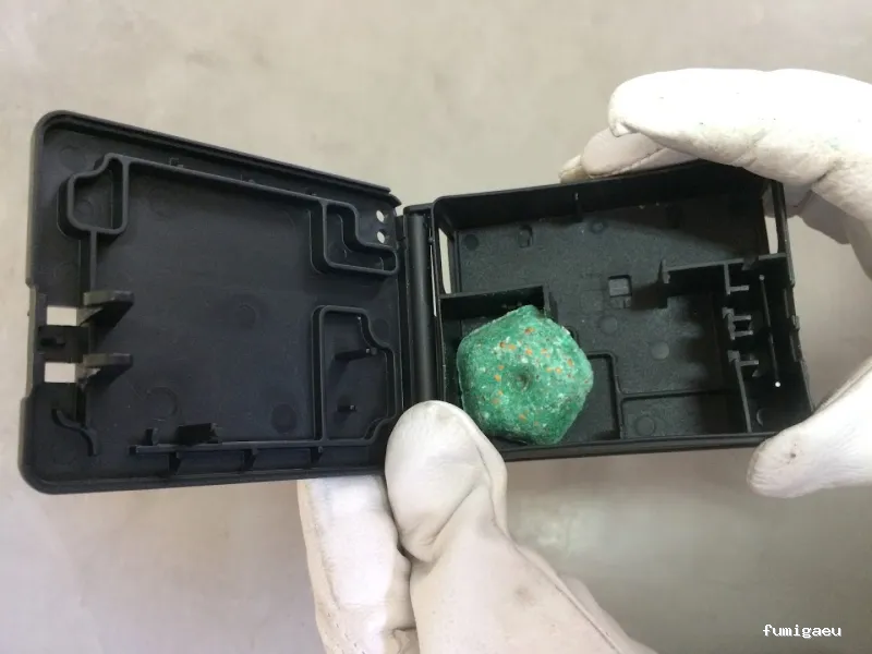 CONTROL DE PLAGAS MONTCARRE