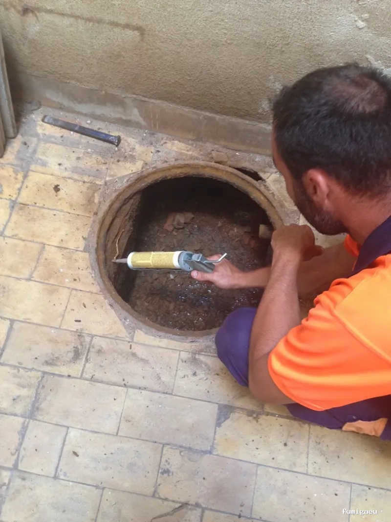 Campos Serrano Biólogos