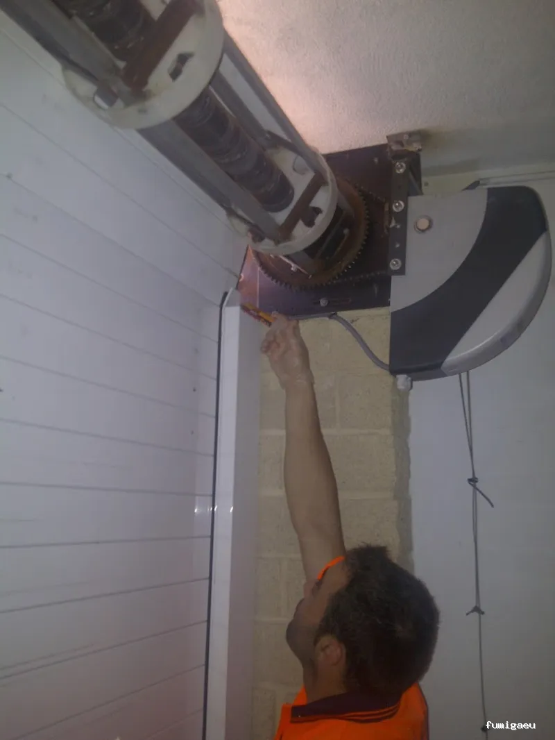 Campos Serrano Biólogos