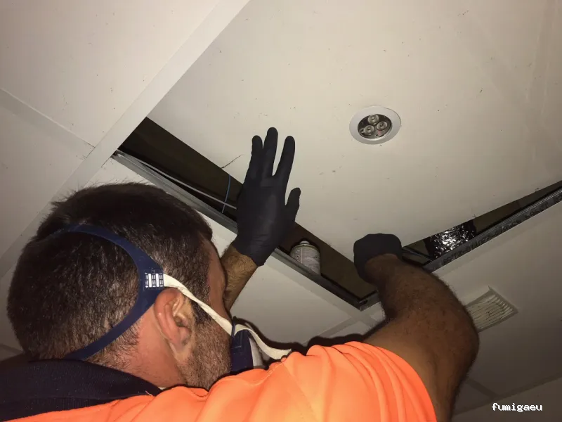 Campos Serrano Biólogos