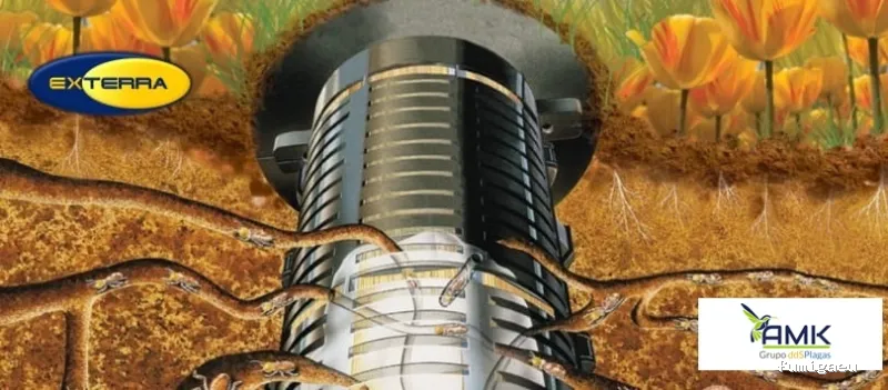 AMK Plagas | Termitas y Carcoma