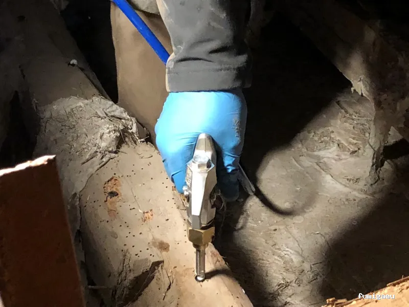 AMK Plagas | Termitas y Carcoma