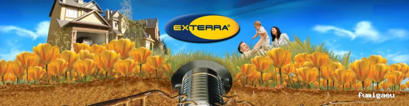 AMK Plagas | Termitas y Carcoma