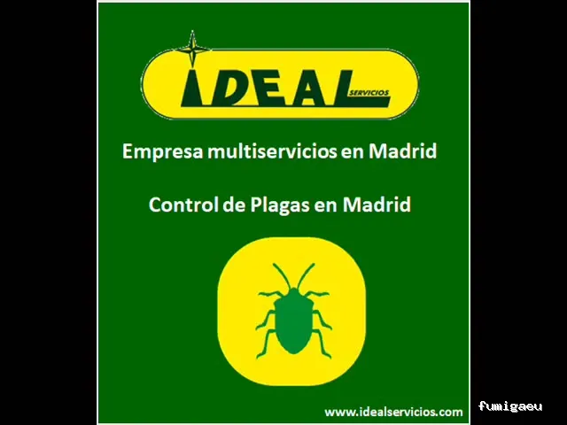 Ideal Servicios Mantenimiento Integral