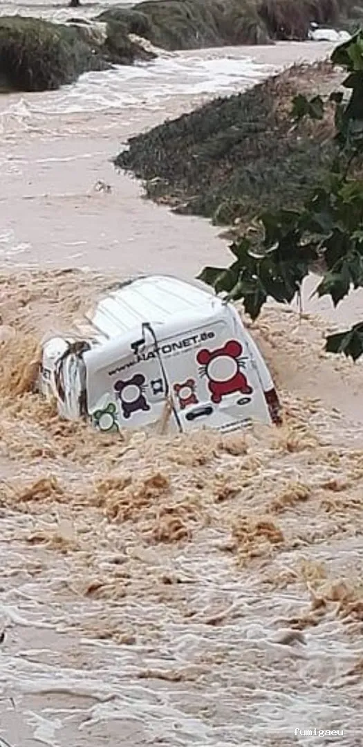 RATONET CONTROL PLAGUES S.L.